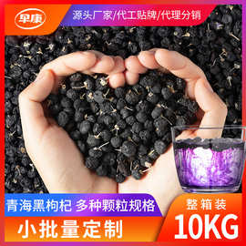 寧夏黑枸杞 珍稀食用農產品的營養(yǎng)與價值