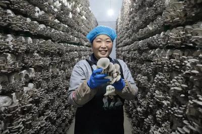 走在前 開新局！闖出綠色循環(huán)'大村模式'，引領食用農產品高質量發(fā)展