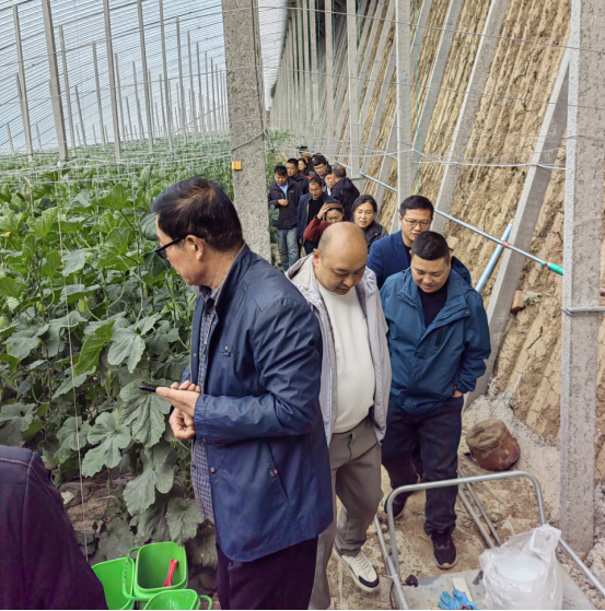 賦能農(nóng)業(yè)合作社，護航舌尖安全——贊華集團助力許昌建安區(qū)農(nóng)產(chǎn)品質(zhì)量提升培訓項目圓滿結班