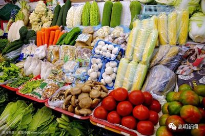 高明首座農產品快檢室投用，織密餐桌安全防護網